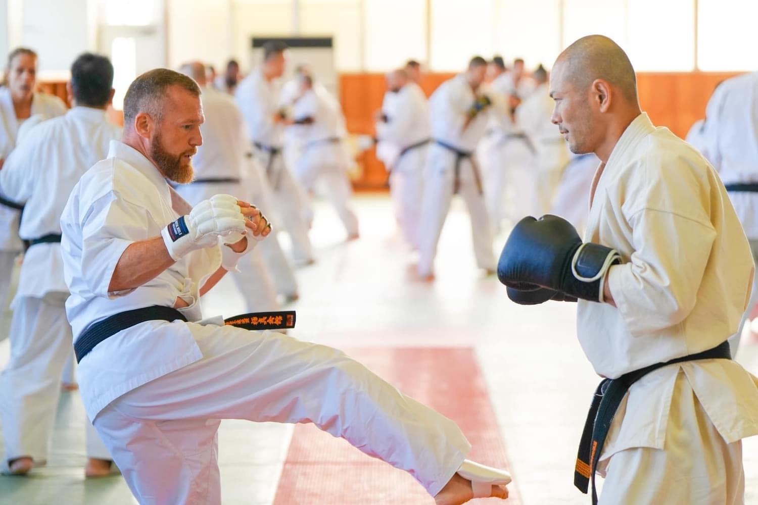 Kyokushin training